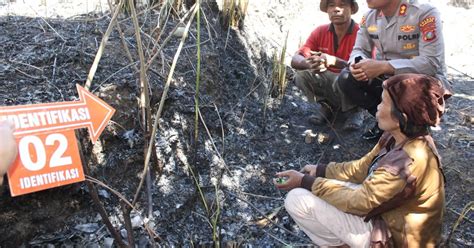 Polda Sumut Tangkap 2 Pelaku Pembakar Hutan Di Kabupaten Samosir