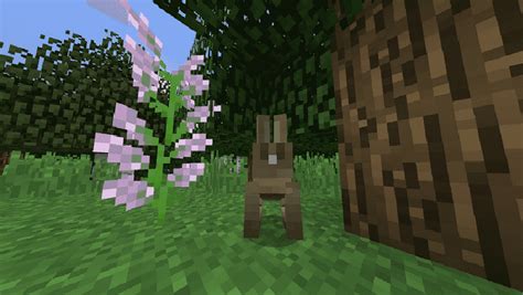 Minecraft Rabbits Game Guide