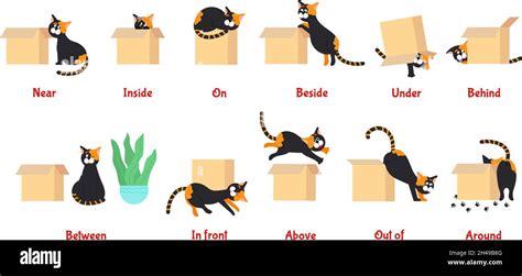 Preposition Learning English Prepositions With Cute Cat Preschool