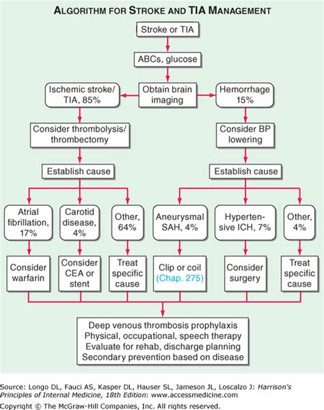 Guidelines for the management of aneurysmal subarachnoid hemorrhage a guideline for healthcare professionals from the american heart association/american stroke association. 35 Hemorrhagic Stroke Pathophysiology Diagram - Wiring ...
