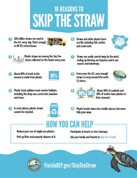 They will decompose and break down when left out in nature. Fact Sheets - Skip the Straw | Florida Department of ...
