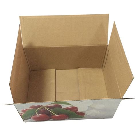 Cardboard Single Wall 3 Ply Corrugated Fruit Packaging Boxes Box
