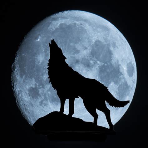 The Howling Wolf Wallpaper Shadow Wolf Wolf Artwork