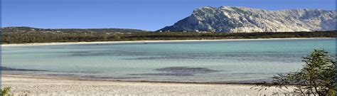 Situati in una collina di fronte a cala d'ambra tutti gli appartamenti hanno vista mare, ampia veranda e posto auto. Vacanze INN - Appartamenti in affitto e Case Vacanze a San ...