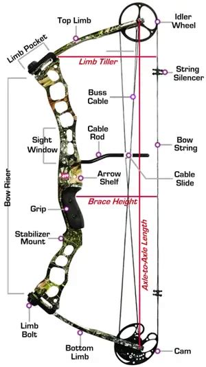 How To Measure A Compound Bow String Bow Hunting Advise