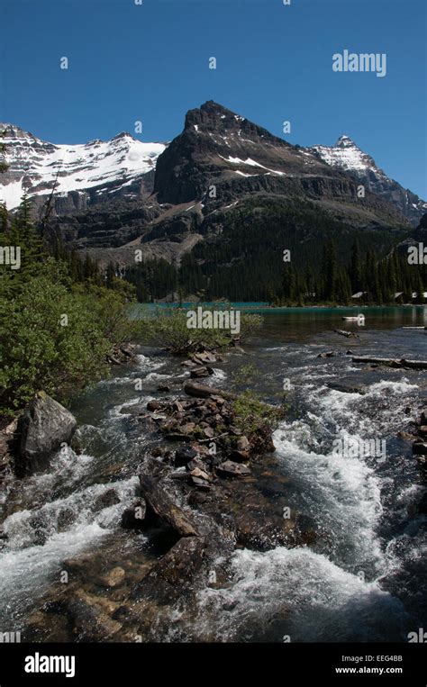 Water Flowing Into Lake Ohara Yoho National Park Canada At The