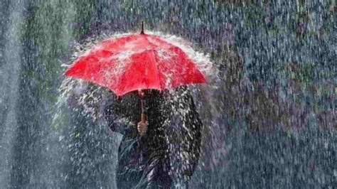 Orang sukses adalah orang yang memiliki rasa percaya diri tinggi. Cuaca Kota Semarang Hari Ini Diprediksi Berawan dan Hujan ...