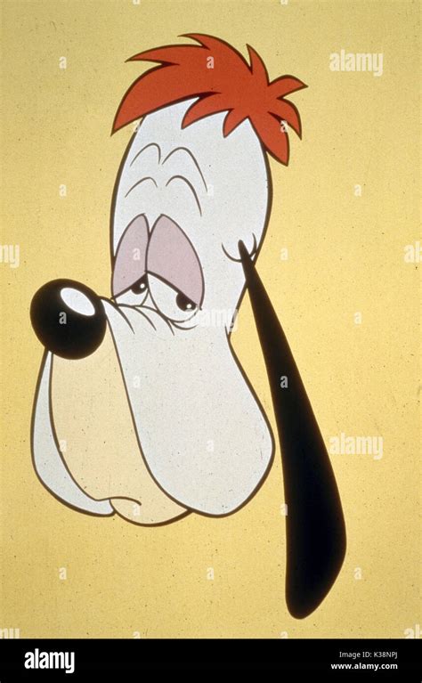 Droopy The Dog A Tex Avery Cartoon Please Credit Mgm Stock Photo Alamy