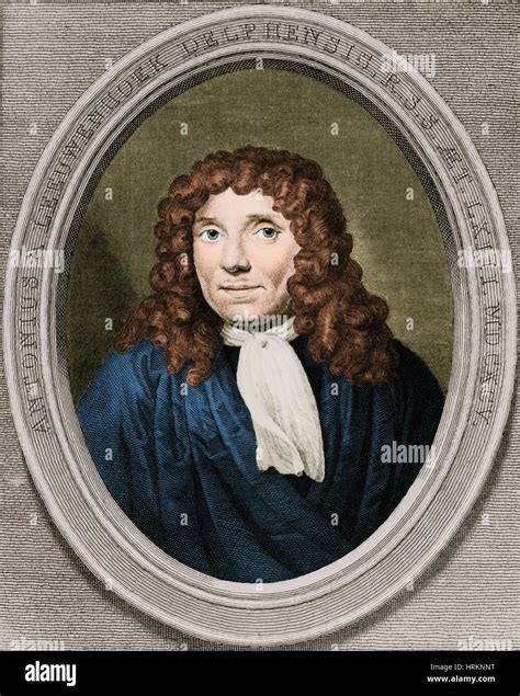 Anton Van Leeuwenhoek Dutch Microbiologist Stock Photo Alamy