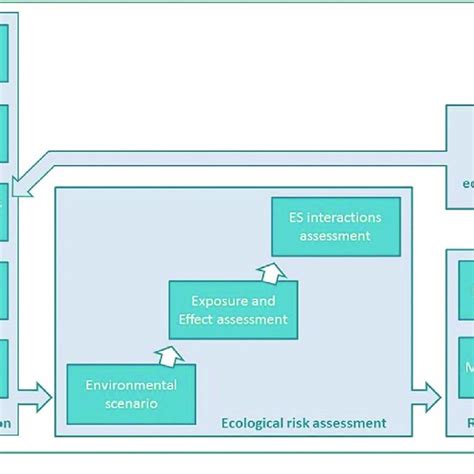 Conceptual Framework For The Environmental Risk Assessment Of Chemicals
