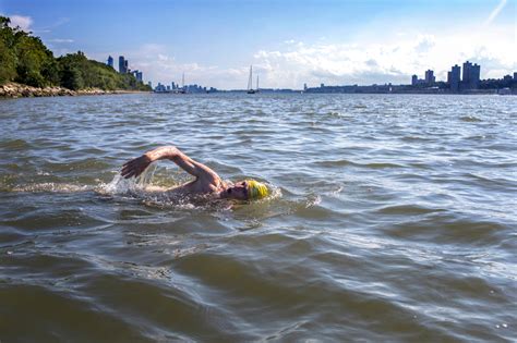 The Hudson Swimmer The New York Times