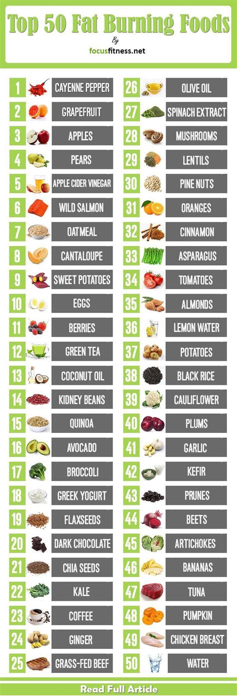 15 Excellent Fat Burning Food Plan Best Product Reviews