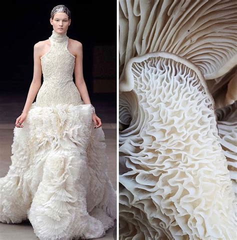 Fashion Designs Inspired By Nature