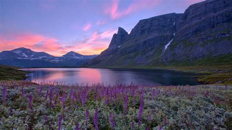 Norwegen Natur Landschaft See Berge Blumen Sonnenaufgang 1920x1200