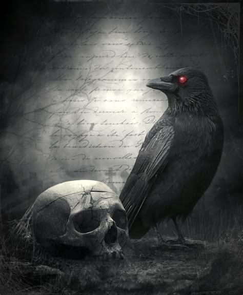 Raven And The Skull By Christinaisabella On Deviantart Crow Skull