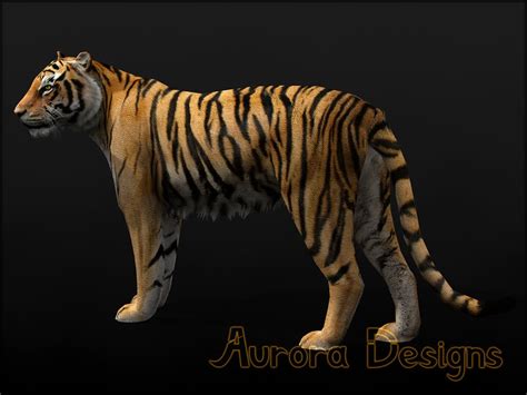 Radical Remake Aurora Designs Zt2 Download Library Wiki Fandom