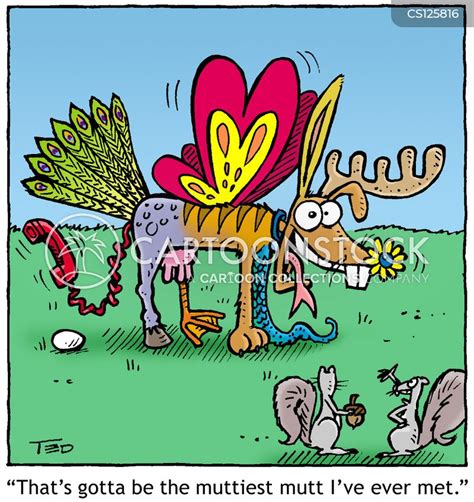 Animal Breeding Cartoons And Comics Funny Pictures From Cartoonstock