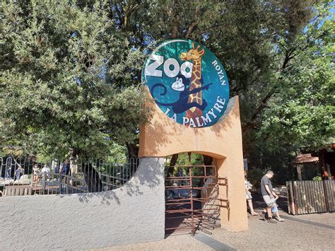 Visite En Famille Du Zoo De La Palmyre Aux Mathes