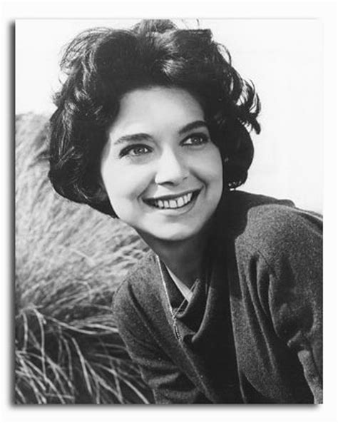(SS2263924) Movie picture of Suzanne Pleshette buy celebrity photos and ...