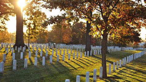 In The Sacred Stillness Of Arlington National Cemetery