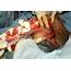 Graphic Photos Cesarean Section Step By In  Health Nigeria