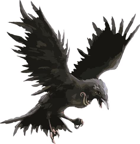 Raven In Flight Clipart Free Download Transparent Png Creazilla