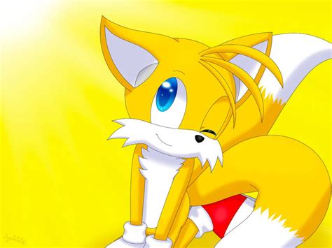 Sonic The Hedgehog Fox Boy Fox Pictures Sonic Funny Sonic Franchise
