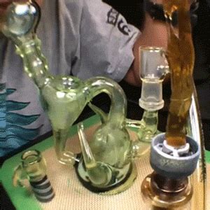 Dabs Find Share On GIPHY