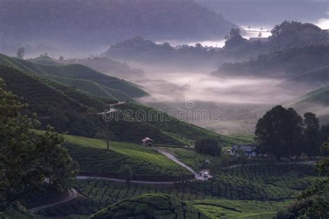 Morning Mist Stock Photo Image Of Nature Landscape Farm 5128876