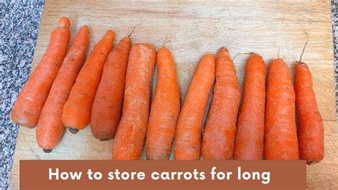 How To Store Carrots For Long Timestore Carrots In Fridge Video Youtube