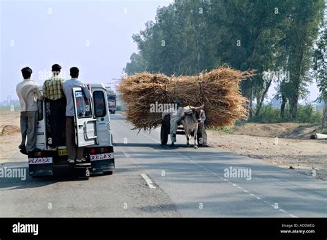 Overloaded Cart Stock Photos & Overloaded Cart Stock Images - Alamy