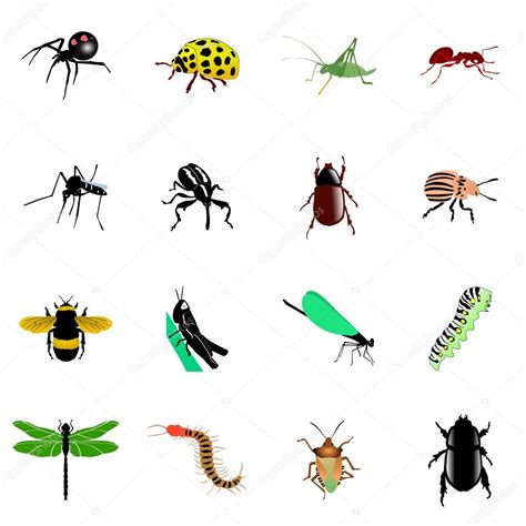 Set Of Insects ⬇ Vector Image By © Perysty Vector Stock 5001620