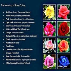 Rose Color Meanings Color Meanings And Roses On Pinterest