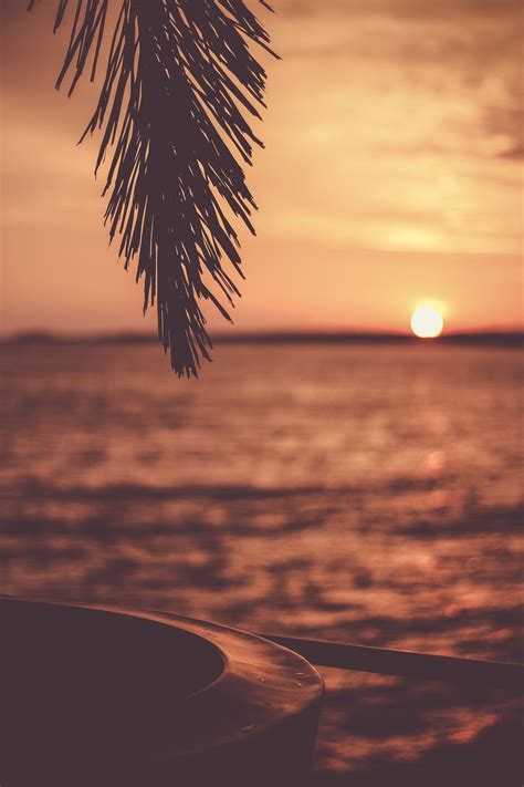 Palms Pictures | Download Free Images on Unsplash | Sunset wallpaper ...