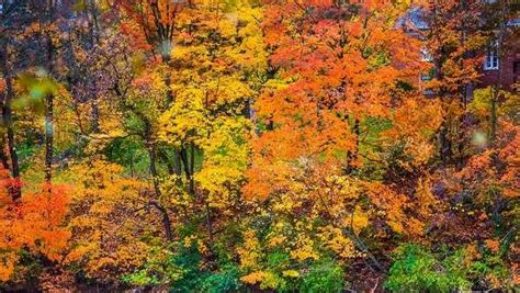 Indiana Dnr Says Fall Colors Mostly On Schedule