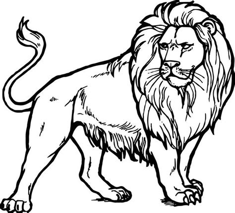 Lion Coloring Pages For Adults In 2020 Lion Coloring