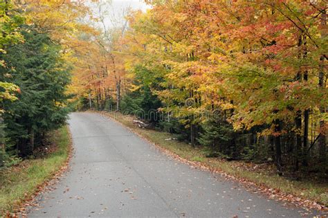 Road Through Autumn Forest Stock Image Image Of County Wisconsin