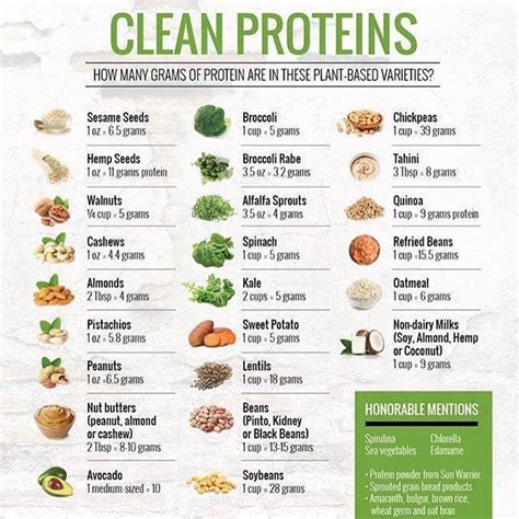 How Many Grams Of Protein Are In Your Favorite Plant Foods Clean Protein Plant Based Protein