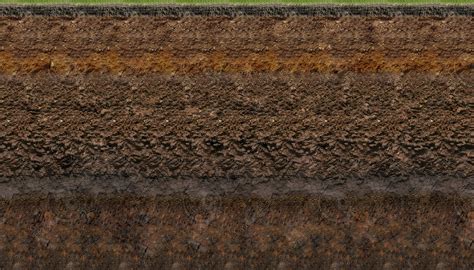 Texture Jpeg Grass Soil Layer