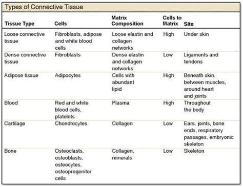 Maybe you would like to learn more about one of these? Tissues - The human body