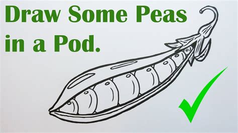 How To Draw Fresh Peas In A Pod Very Easy Step By Step Youtube