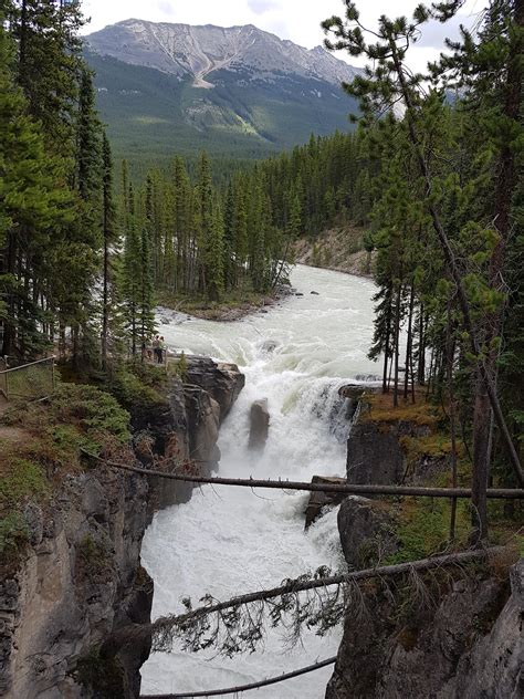 Sunwapta Falls In Jasper National Park Alberta Canada 4032×3024 Oc