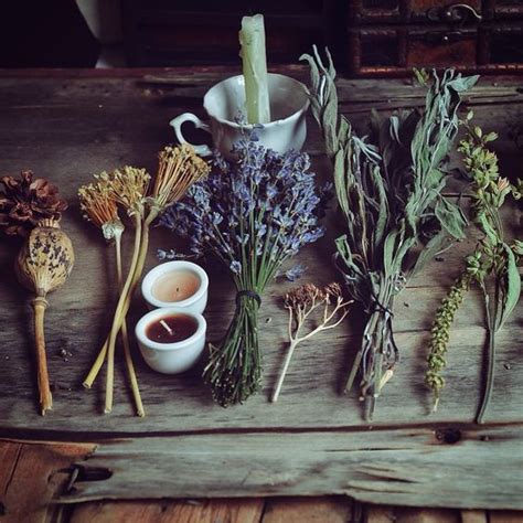 The Witchs Corner Magickal Herbs