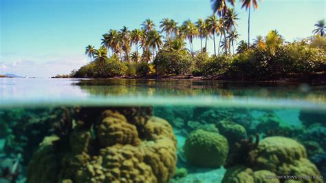 You can also use a desktop background as your lock screen or your start screen background. 3d Wallpaper For Laptop Hd - windows 10 Wallpapers