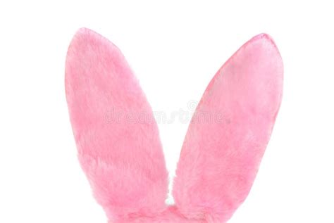 Pink Furry Bunny Ears On White With Copy Space Stock Photo Image Of