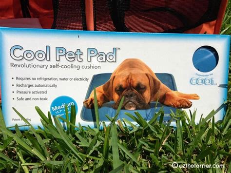 The gel that's inside the nylon cushion will keep them cool for up to 3 hours before it needs to recharge. Cool Pet Pad Beats the Heat of Summer | Oz the Terrier ...