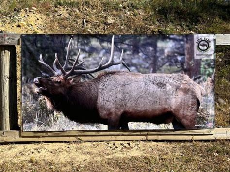 Life Size Elk Target Life Size Animal Targets