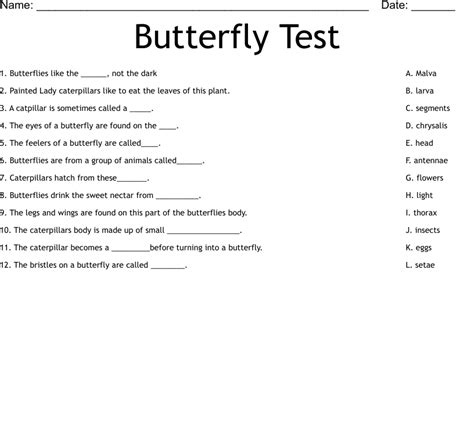 Butterfly Test Worksheet Wordmint