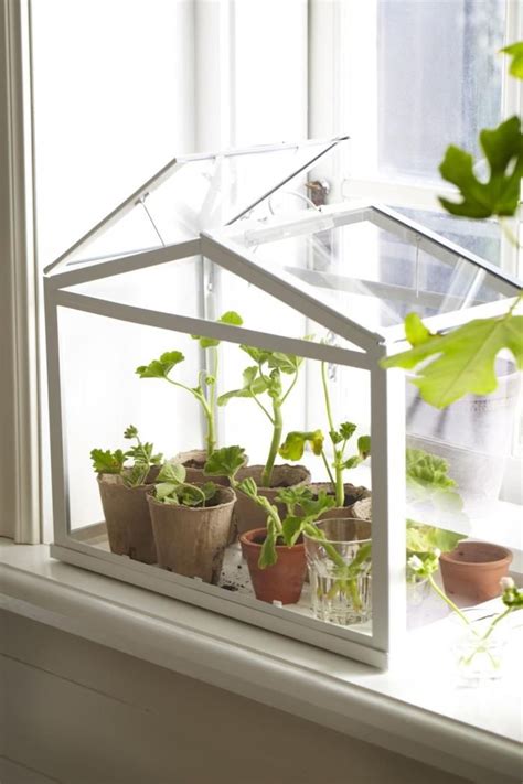 15 Indoor Garden Ideas For Wannabe Gardeners In Small Spaces