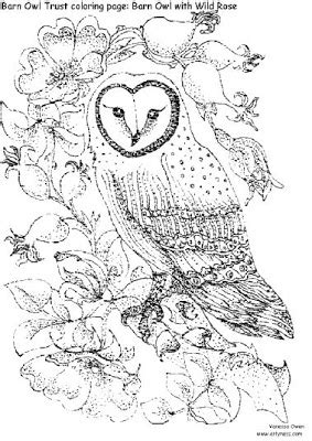 For those kids who are fascinated with horses, they can be provided horse coloring pictures. Wild Animal Owl Bird Coloring Books to Print